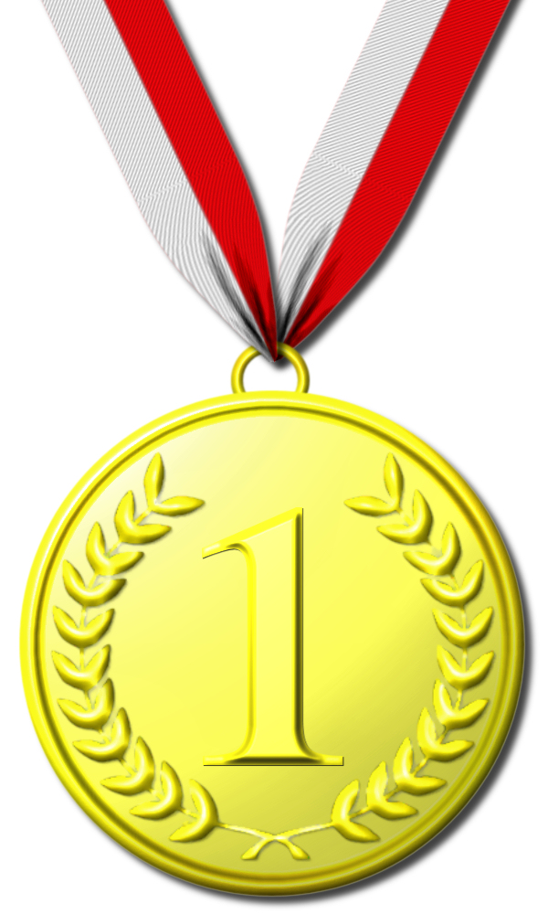 Pic of Gold Medal